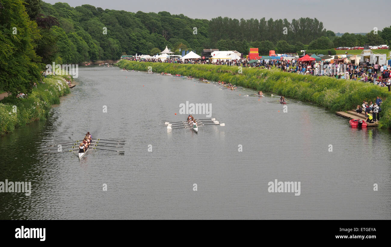 Durham, Großbritannien. 13. Juni 2015. Zuschauern ein Rennen während der 182. Durham-Regatta. Durham-Regatta ist das zweite älteste des Landes, Chester Regatta nur vorangestellt. Heute die Regatta findet über eine 750m "short Course" auf der malerischen Fluss Wear in Durham City und zieht regelmäßig von mehr als zweitausend Teilnehmer und zehntausend Zuschauer vom gesamten Vereinigten Königreich. Bildnachweis: AC Bilder/Alamy Live-Nachrichten Stockfoto