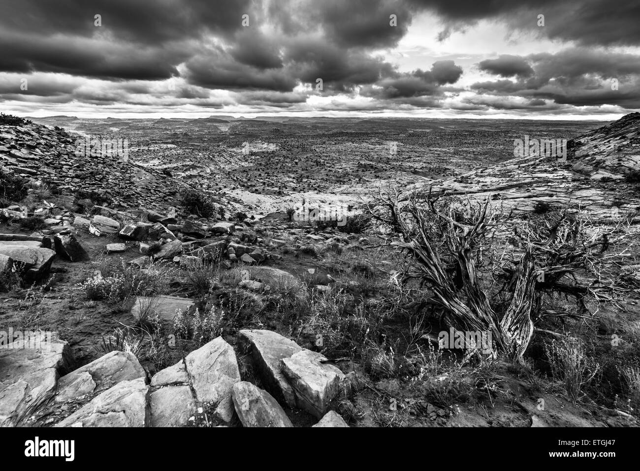 Schwarz / weiß Utah Escalante Landschaft dramatische Gewitterhimmel Stockfoto