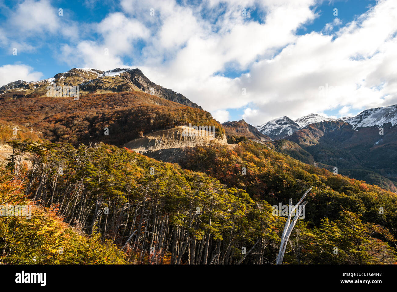 Herbst in Patagonien. Cordillera Darwin, Anden, Tierra Del Fuego (Land des Feuers) Stockfoto