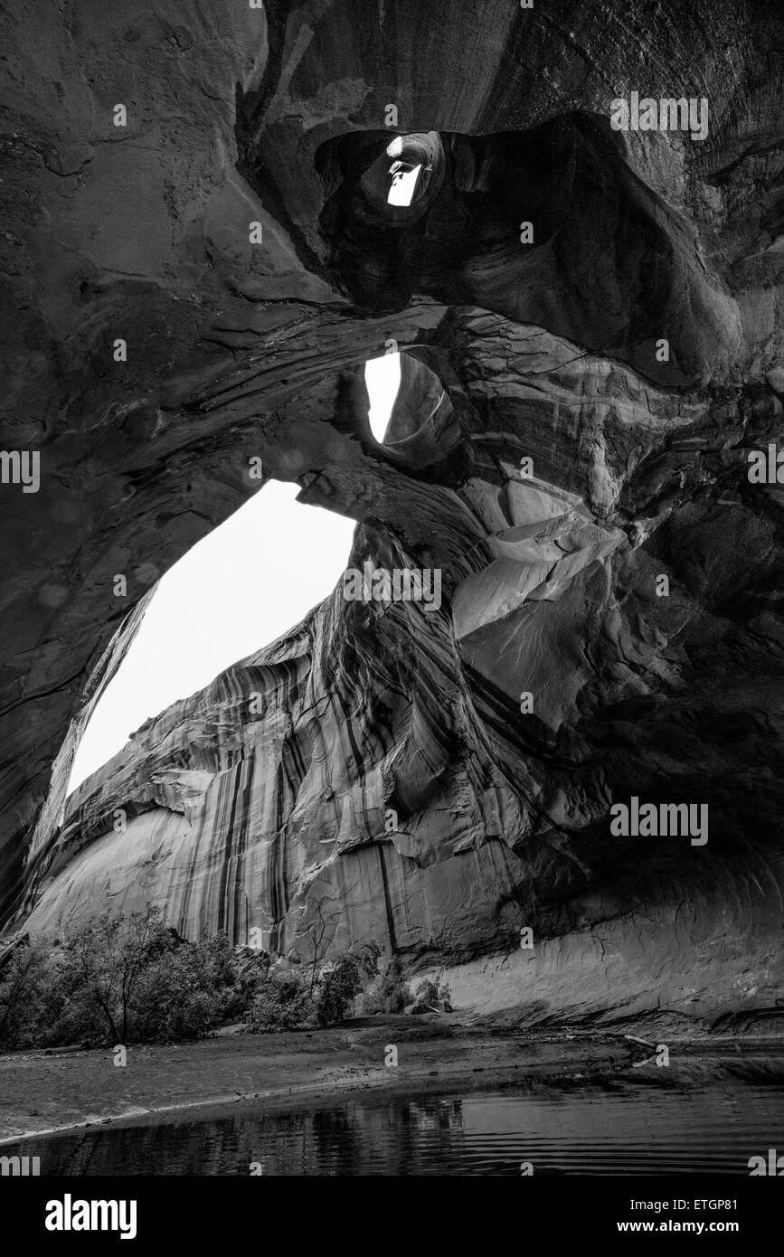 Weitwinkel, schwarze und weiße, vertikale Zusammensetzung Golden Cathedral Neon Canyon Escalante National Park, Utah Stockfoto