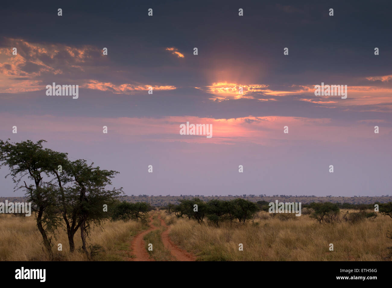 Sonnenuntergang über Tswalu, Südafrika Stockfoto