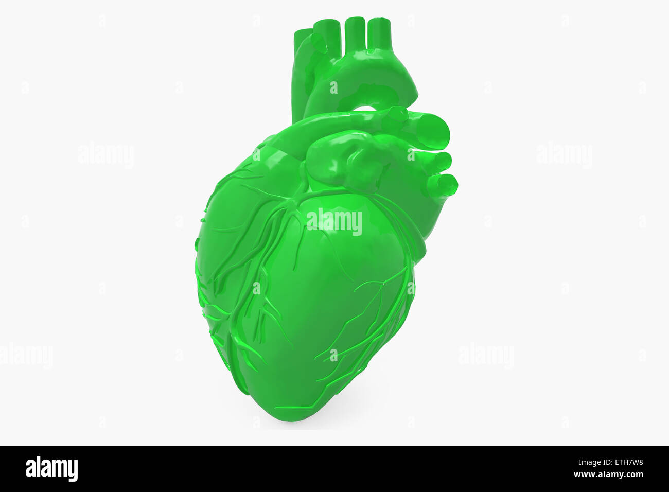 Menschliches Herz Stockfoto