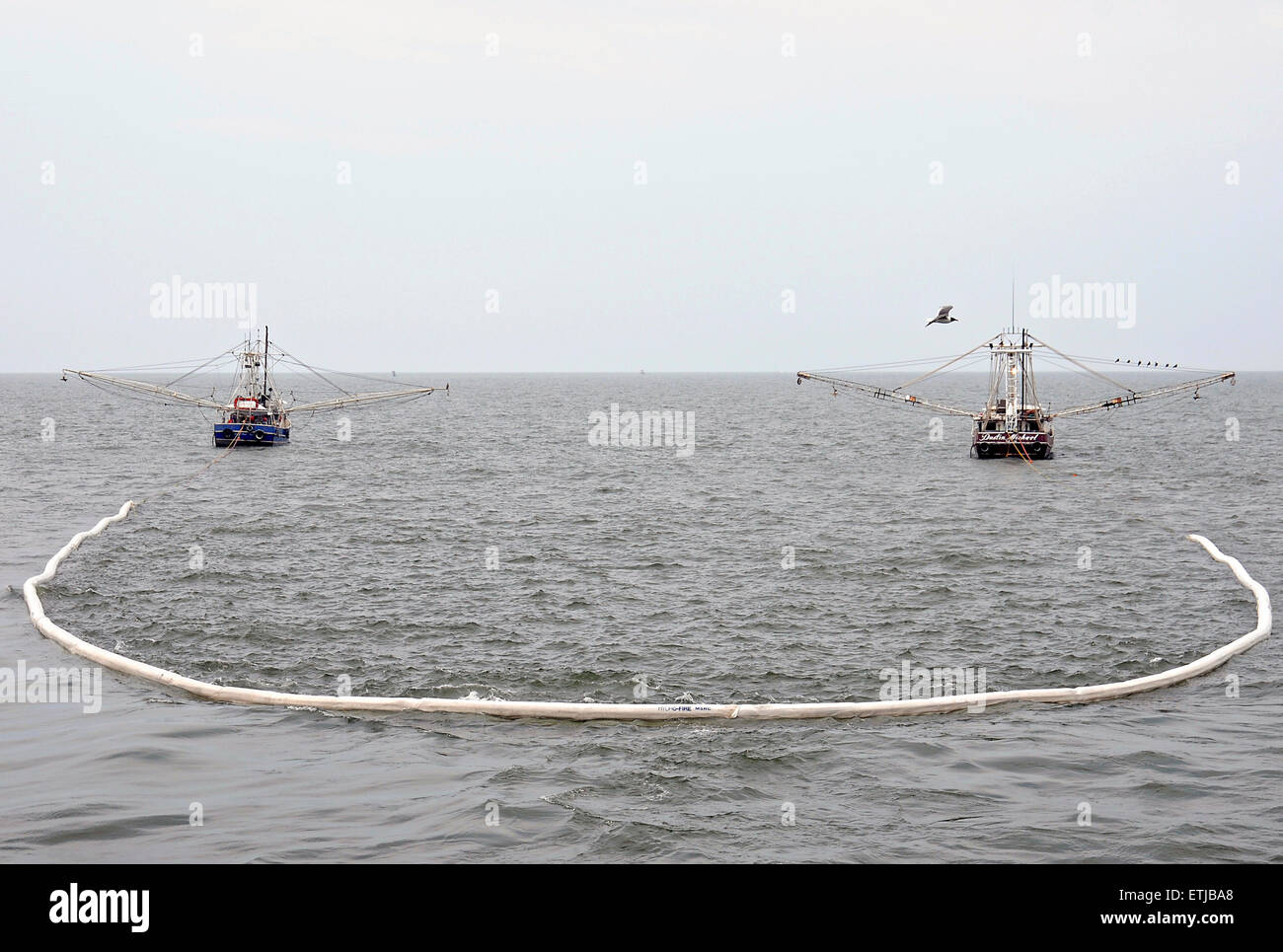 Krabbenkutter schleppen feuerfest Öl-Ölsperre, wie ihre Besatzungen Verhalten an Ort und Stelle zu verbrennen Training vor der Küste nach der BP Deepwater Horizon-Ölkatastrophe als Bemühungen zur Eindämmung und reinigen Sie die Millionen von Gallonen Crew weiter 3. Mai 2010 in der Nähe Venice, Louisiana. Stockfoto