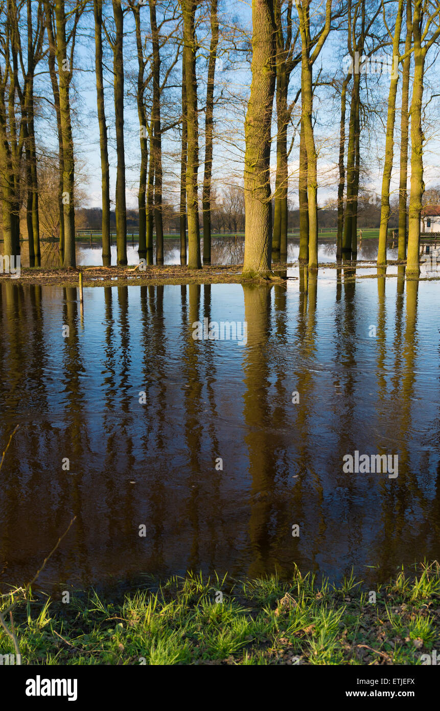 Auen eines kleinen Flusses in den Niederlanden Stockfoto