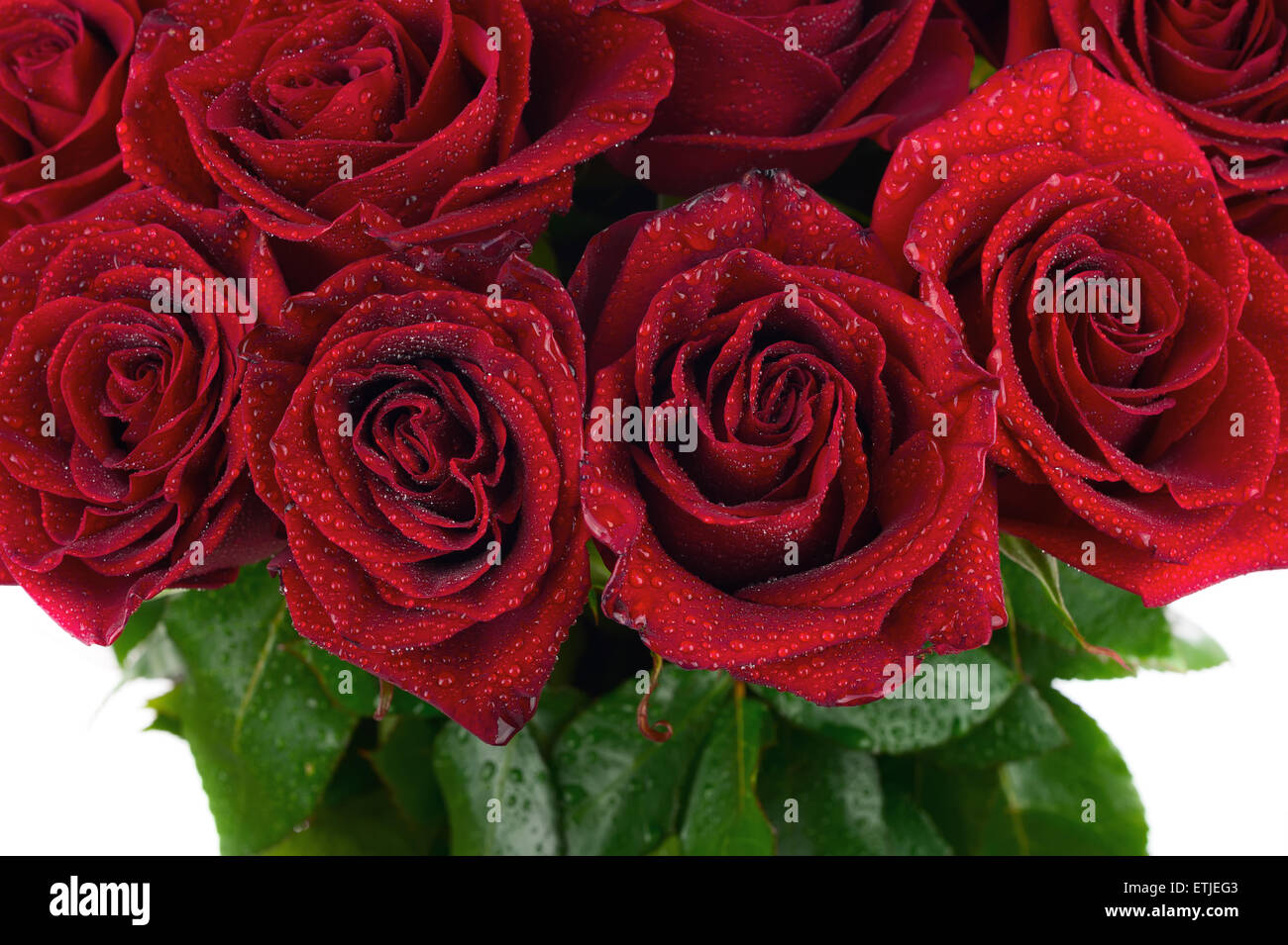 Bunte Blumenstrauß aus roten Rosen für den Einsatz als Hintergrund. Closeup. Stockfoto