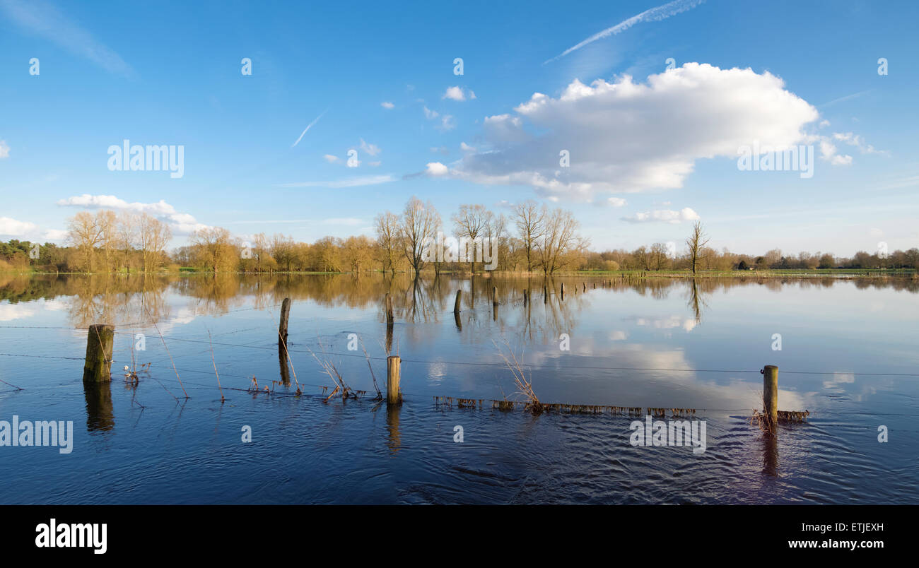 Auen eines kleinen Flusses in den Niederlanden Stockfoto