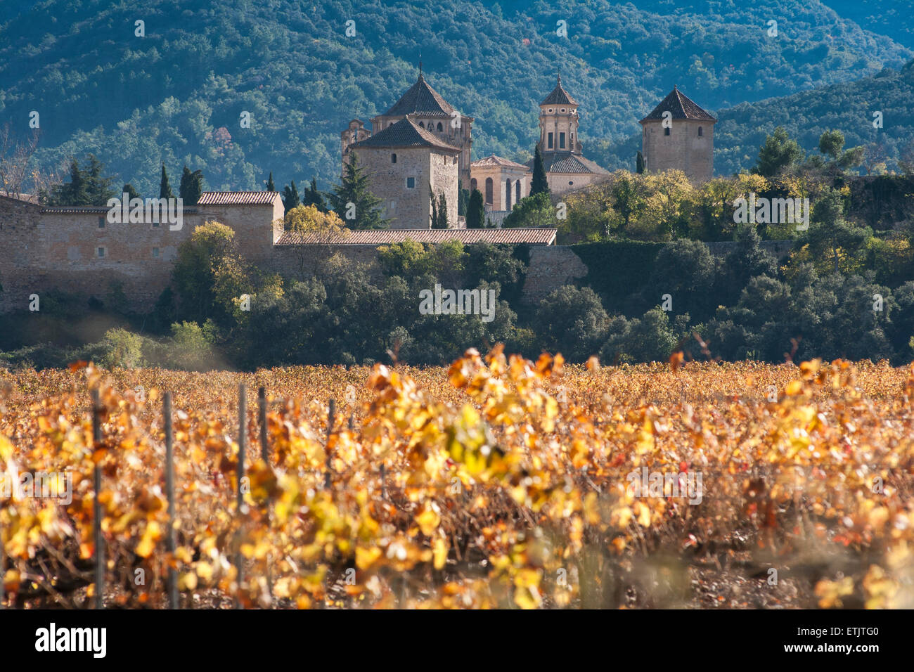 Reial Monestir de Santa Maria de Poblet. Vimbodí ich Poblet. Stockfoto