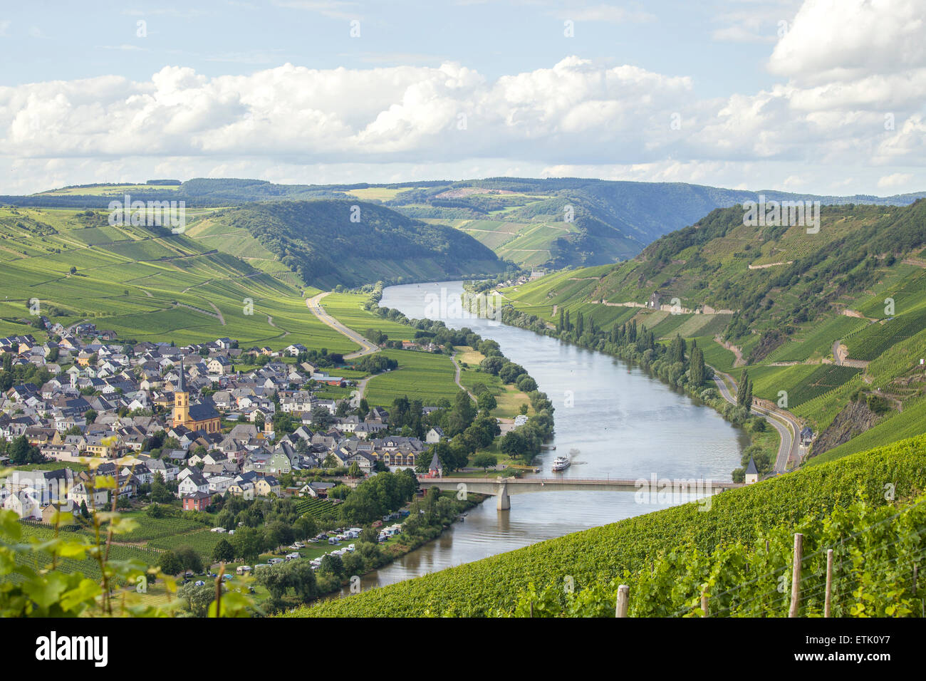Der Mosel in der Nähe von Cochum in Deutschland mit seinen Weinbergen Stockfoto
