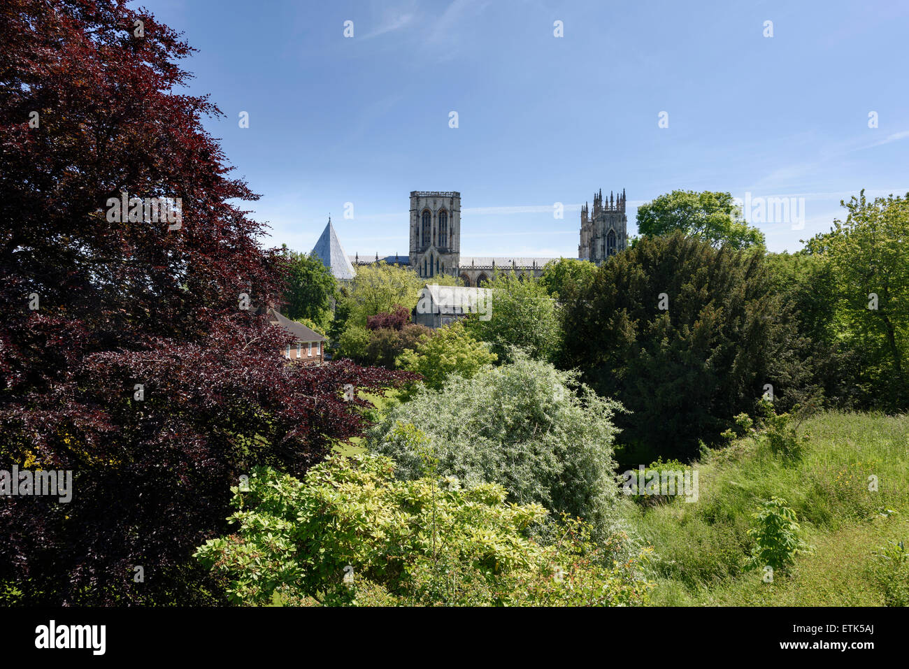 York Minster Stockfoto