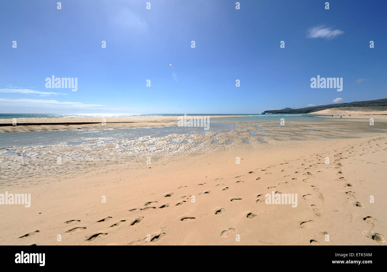 Sandstrand mit Spuren im Sand an einem sonnigen Tag in Fuerteventura, Kanarische Inseln. Stockfoto