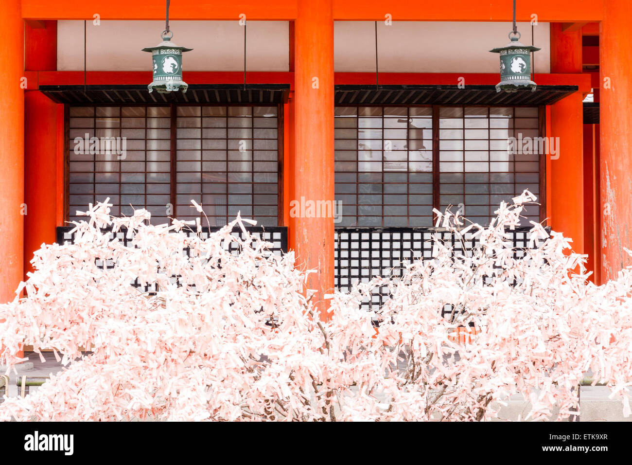 Heian-Schrein in Kyoto. Pink Omikuji, Pech, Papier rutscht ganz von kleinen Bäumen umhüllt, die von Eckpfeilern der Kaguraden-Halle umrahmt werden. Stockfoto