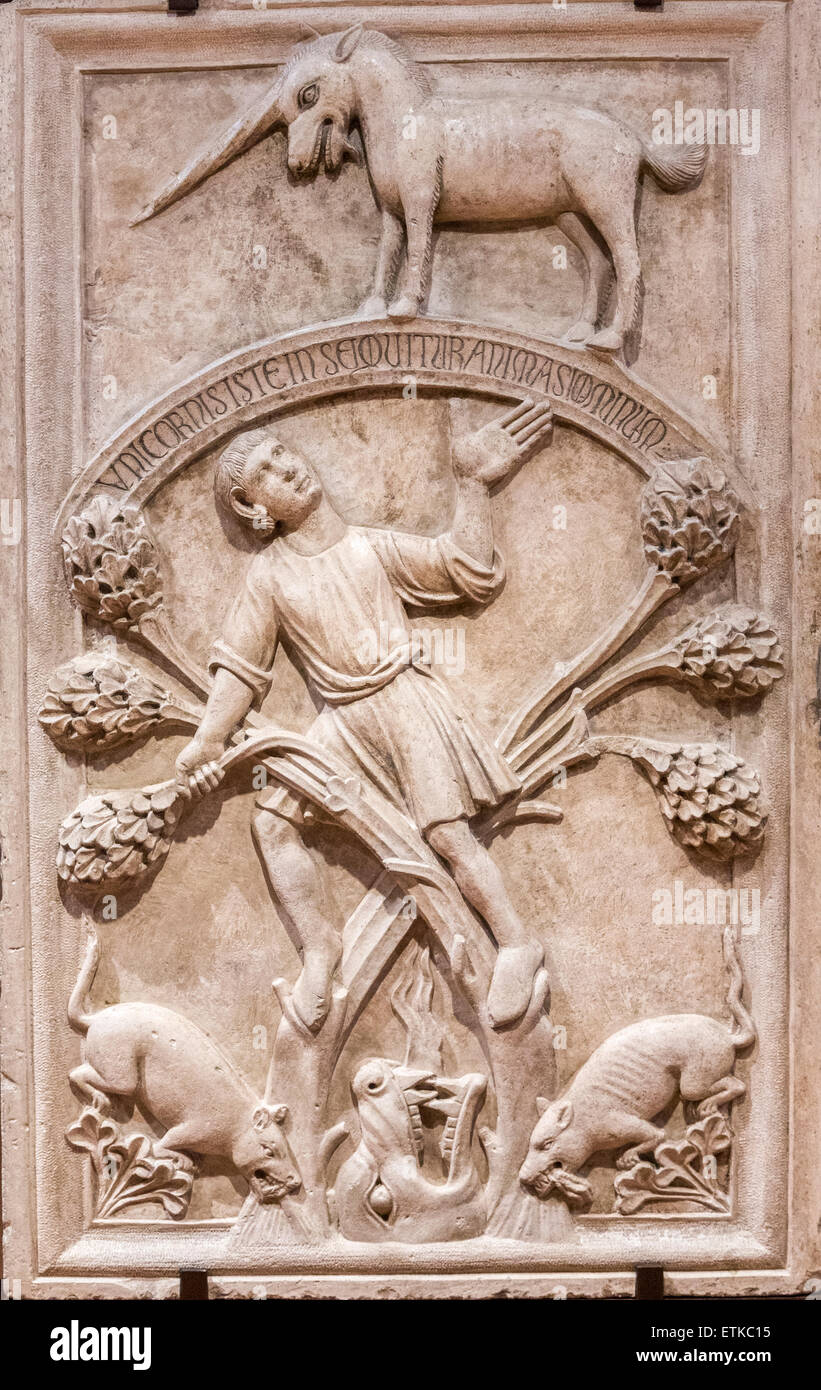 mittelalterliche Skulptur der Fabel des Einhorns (Allegorie des Lebens), Ferrara Dommuseum, Ferrara, Italien Stockfoto