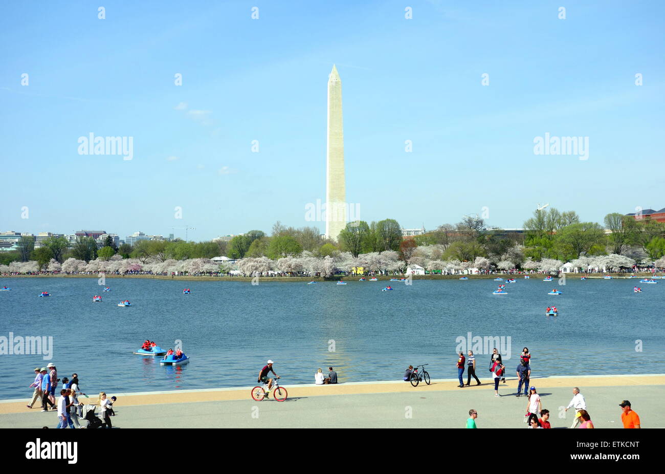 Obelisk der Washington Memorial in Washington, D.C. Stockfoto
