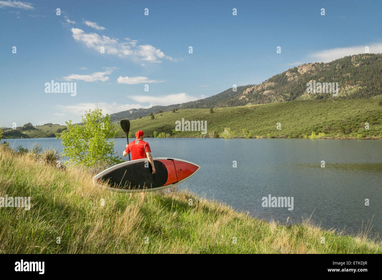 männlichen Paddler trägt ein rotes stand up Paddleboard und ein Paddel an einem sonnigen Sommertag - Horsetooth Reservoir, Fort Collins, Colora- Stockfoto
