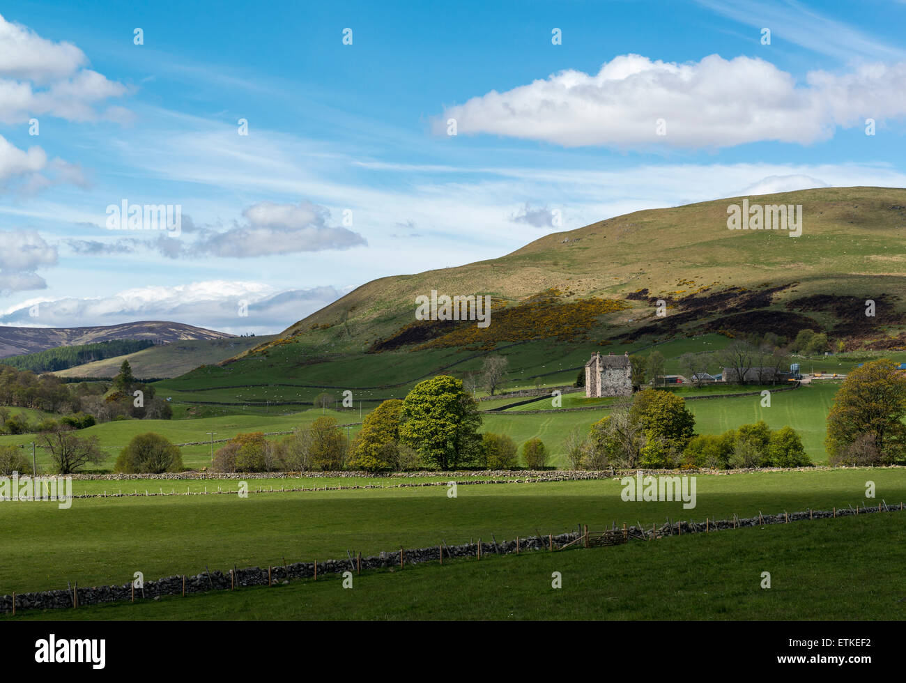 Forter Castle in der Nähe von Meikle Forter, unterhalb einer Fhidhleir Carn, Glen Isla, Angus, Schottland. Stockfoto