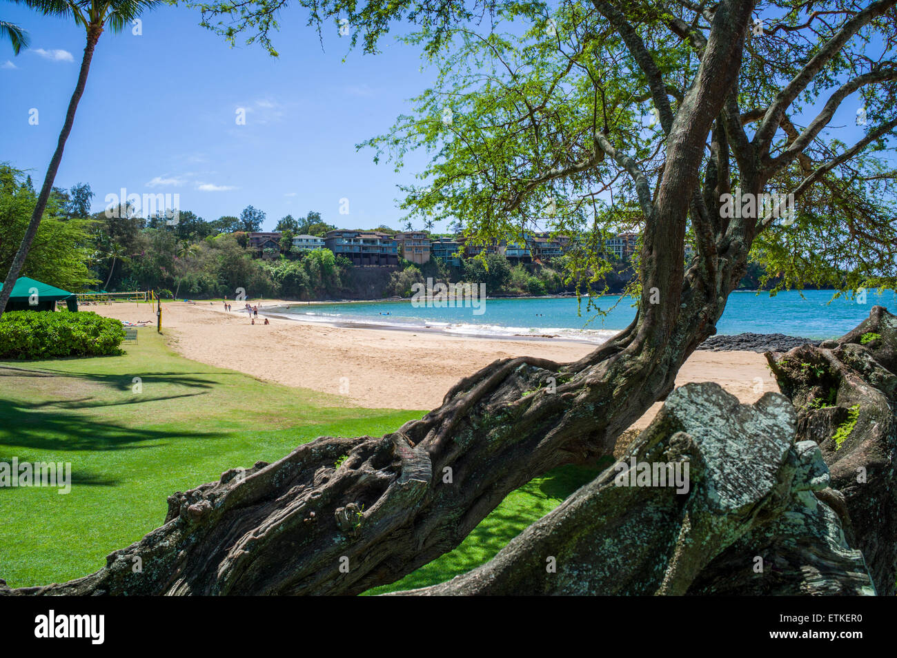 Touristen genießen den Strand und Wasser, Kaua'i Marriott Resort; Kalapaki Bay, Kaua ' i, Hawaii, USA Stockfoto