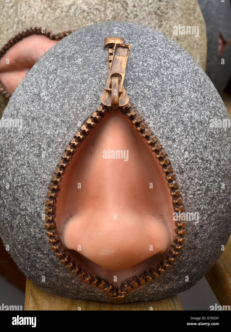 Nase-Ornament mit offenen Reißverschluss Stockfoto