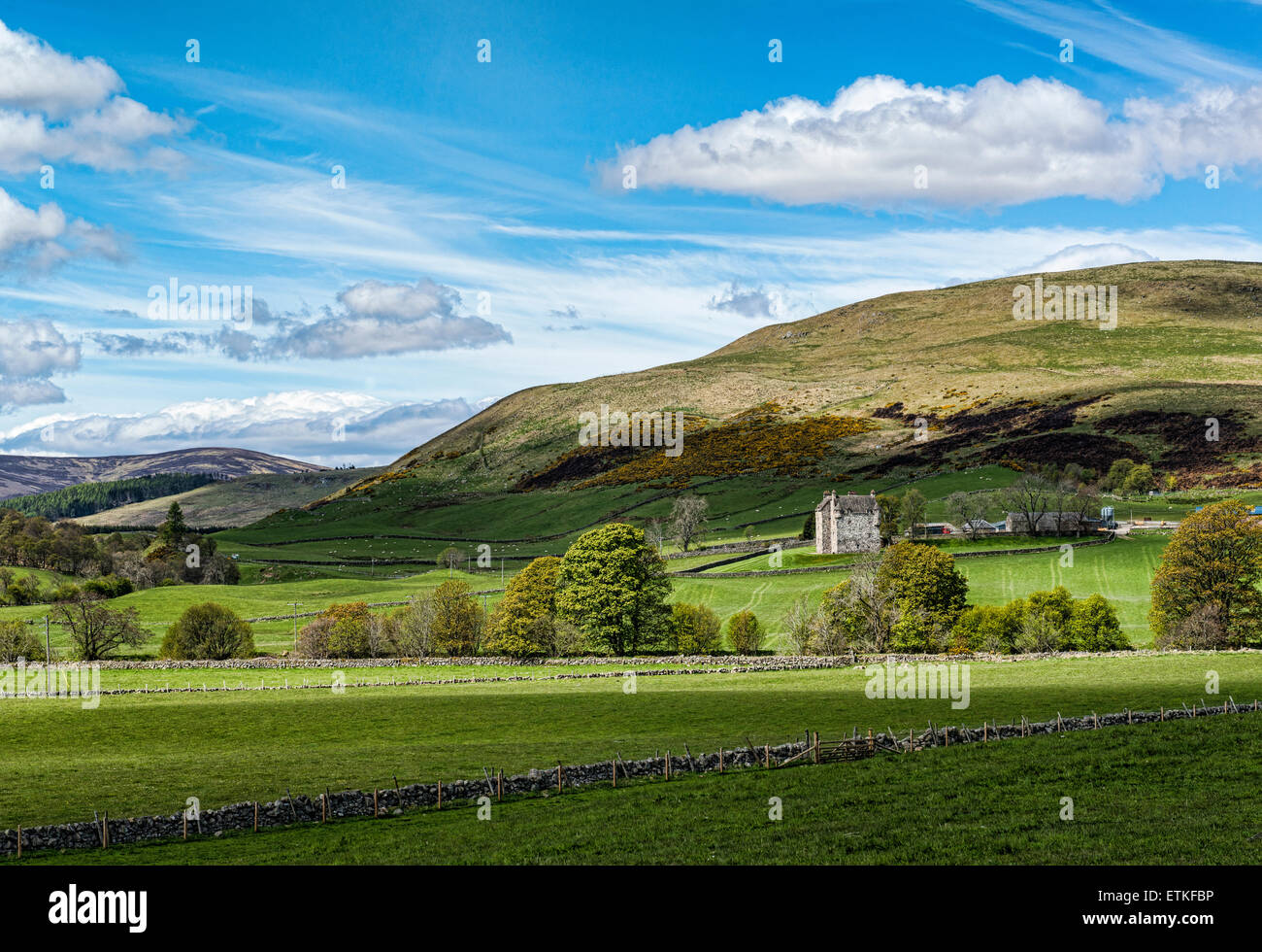 Forter Castle in der Nähe von Meikle Forter, unterhalb einer Fhidhleir Carn, Glen Isla, Angus, Schottland. Stockfoto
