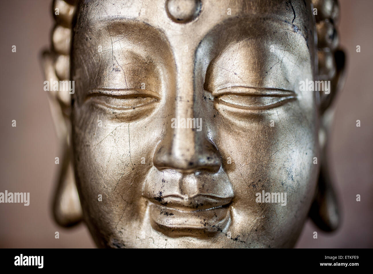 Buddha-Kopf Stockfoto