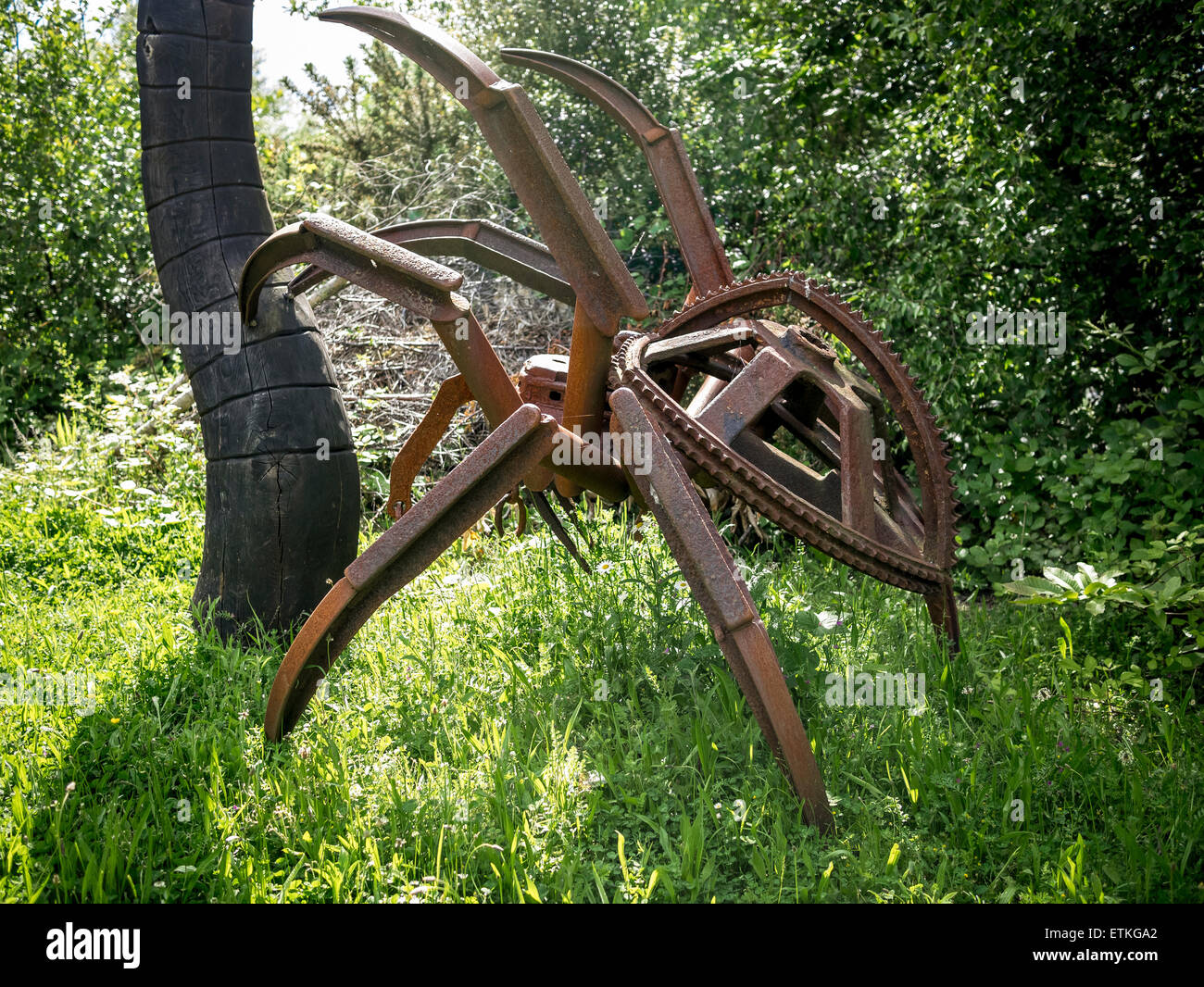 Spinne kitzelt Wurm, Shorne Holz Country Park Stockfoto
