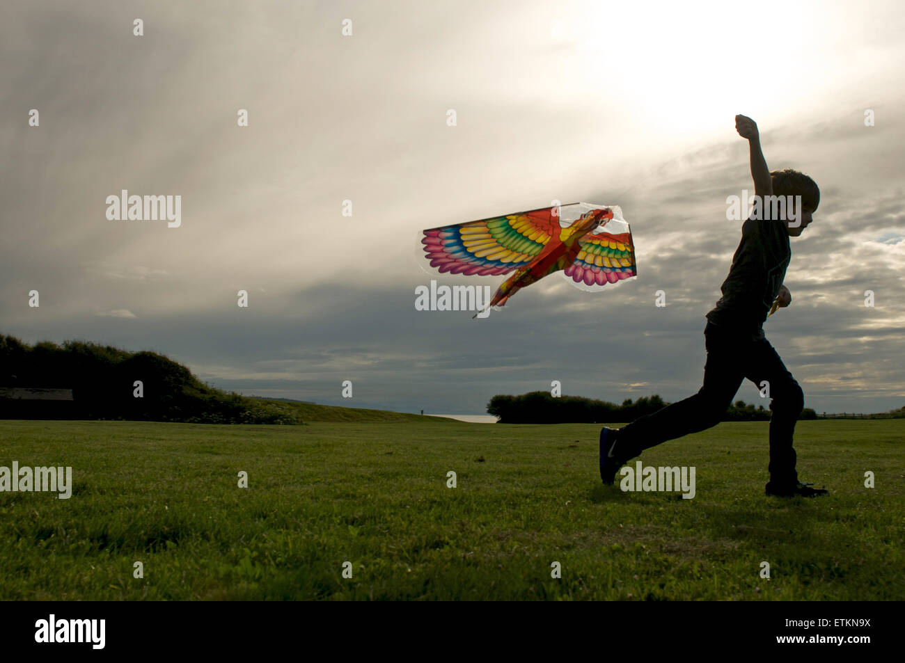Junge fliegt bunten Drachen in der Dämmerung Stockfoto