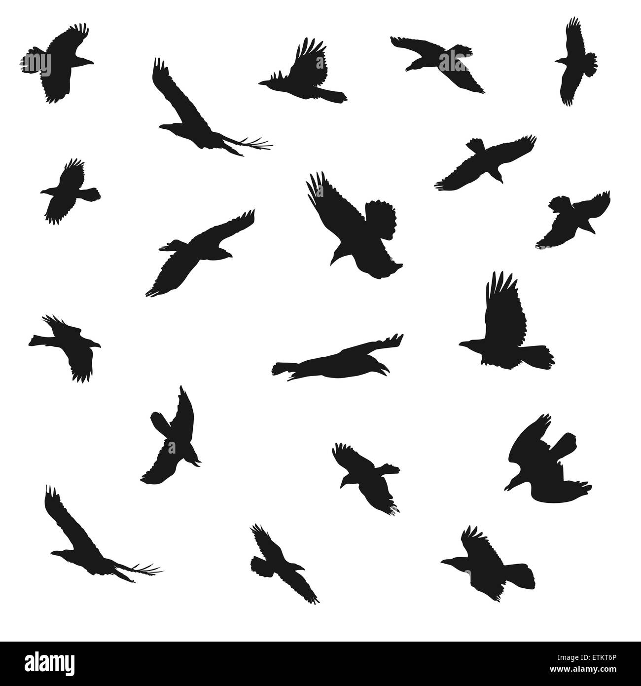Vektor-Illustration der Adler fliegen Silhouetten. Vorstellungen von Eleganz, Kraft und Freiheit. Stock Vektor