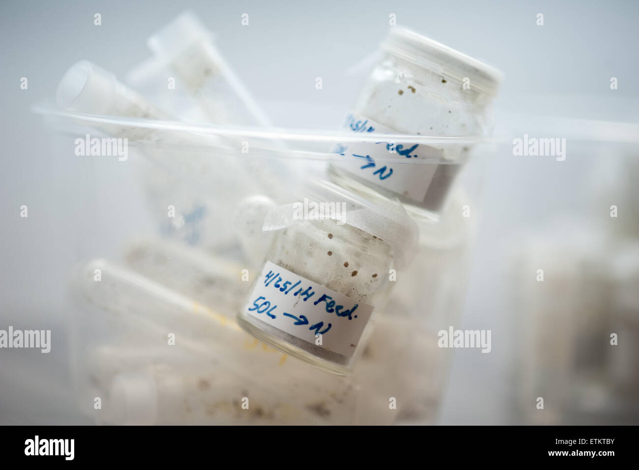 Fläschchen in einem Behälter für Lyme Krankheit-Forschung in College Park, Maryland, USA Stockfoto
