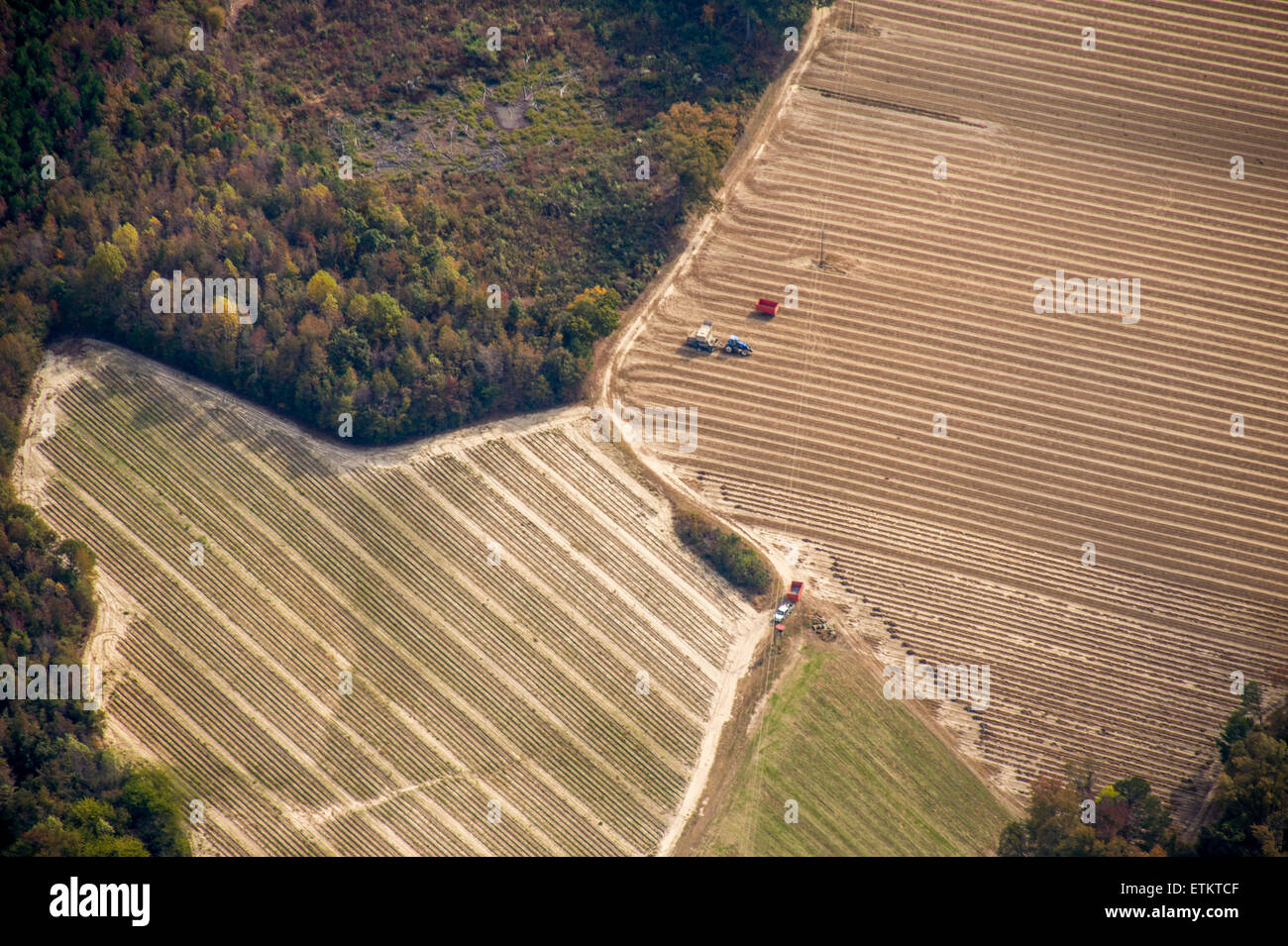 Luftaufnahmen von landwirtschaftlichen Maschinen in einem Feld Ost, USA Stockfoto