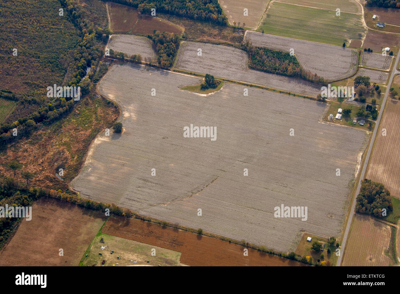 Antenne des Feldes Ost, USA Stockfoto