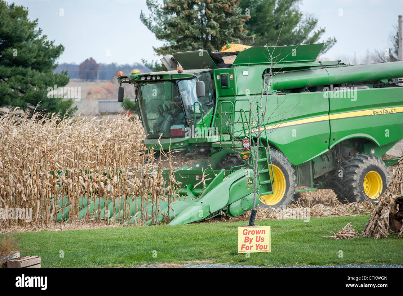 Kombinieren Sie Ernte Mais in Jarrettsville, Maryland, USA Stockfoto