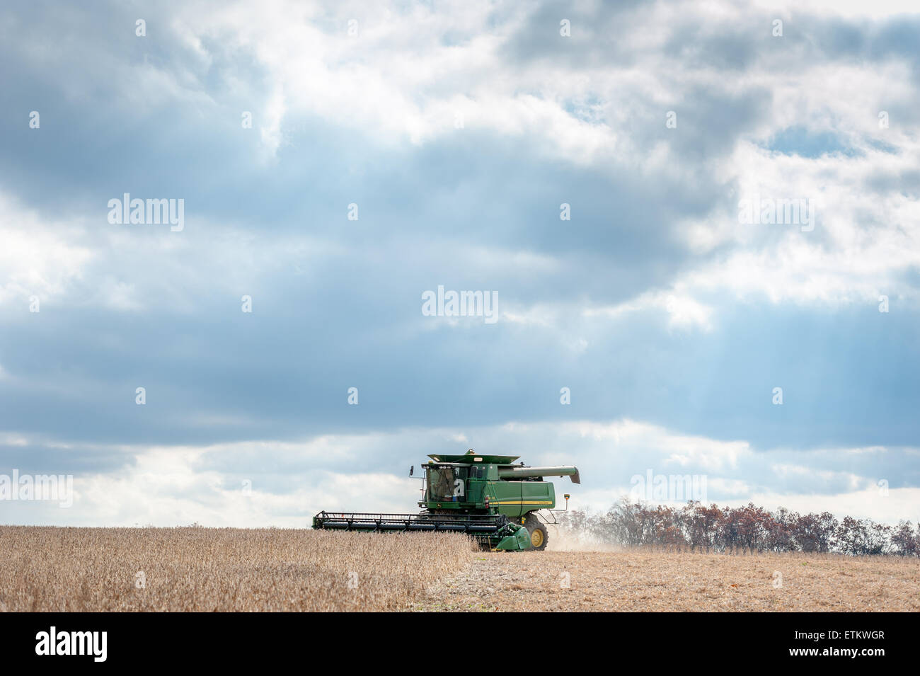 Kombinieren Sie Ernte Sojabohnen in Jarrettsville, Maryland, USA Stockfoto