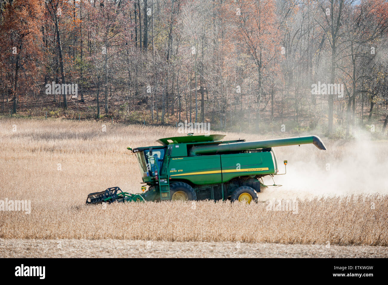 Kombinieren Sie Ernte Sojabohnen in Jarrettsville, Maryland, USA Stockfoto