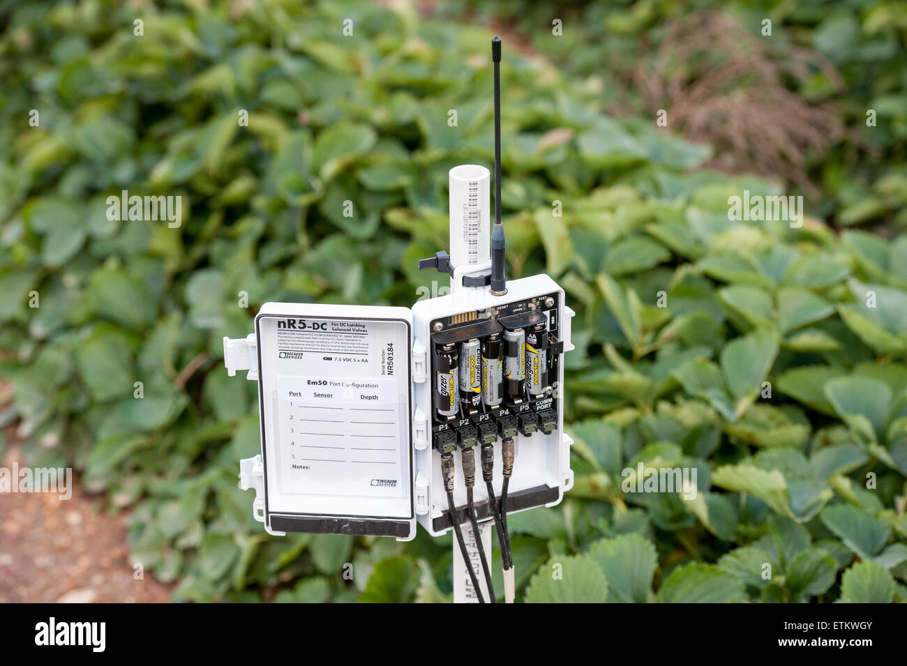 Feuchtigkeit Sensor Unit bei einem Obstgarten im Montgomery County, Maryland, USA Stockfoto