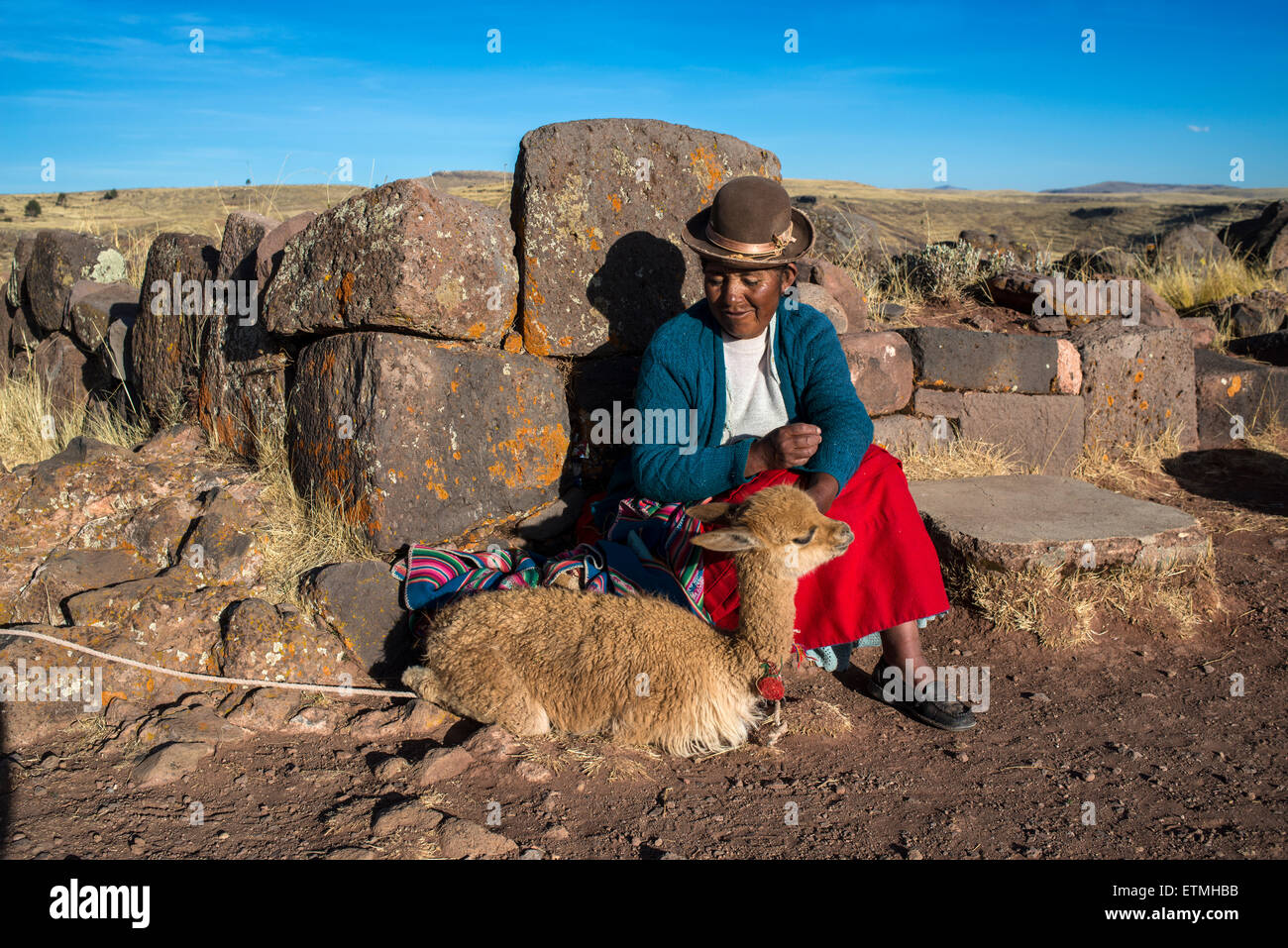 Aymara indische Frau in traditioneller Kleidung sitzen gegen Steinmauer mit Guanako (Lama Guanicoe), Gräberfeld bei Sillustani Stockfoto