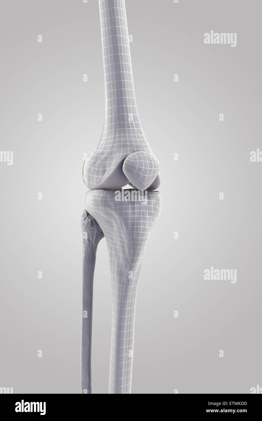 Stilisierte Darstellung des Knies gemeinsame. Stockfoto