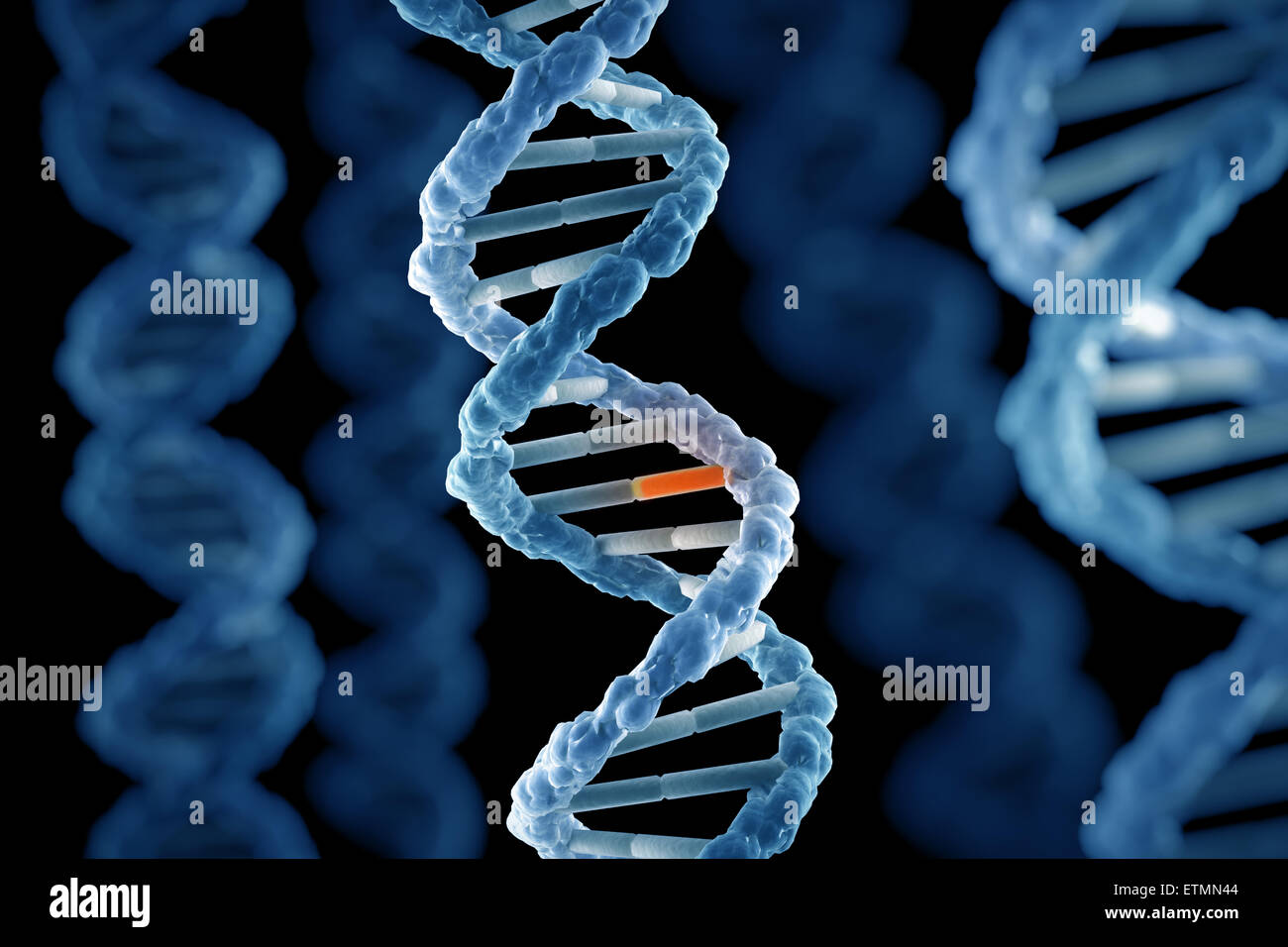 Stilisierte Darstellung der Stränge der menschlichen DNA Desoxyribonukleinsäure, während der Replikation Gen mutiert. Stockfoto