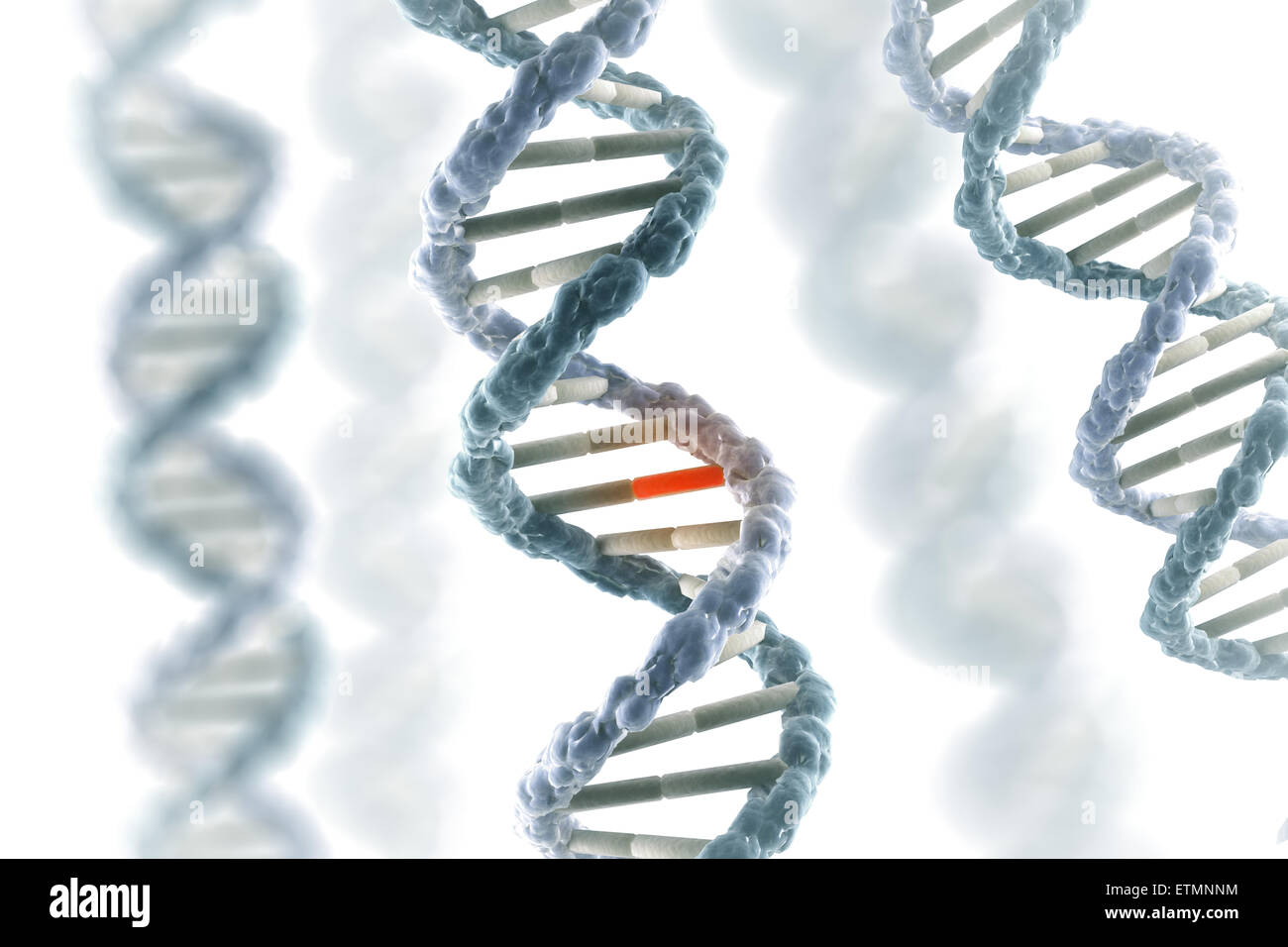 Stilisierte Darstellung der Stränge der menschlichen DNA Desoxyribonukleinsäure, während der Replikation Gen mutiert. Stockfoto