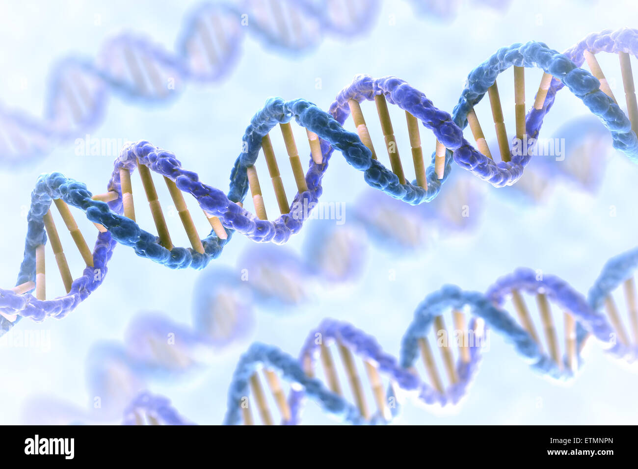 Stilisierte Darstellung der Stränge der menschlichen DNS, Desoxyribonukleinsäure. Stockfoto