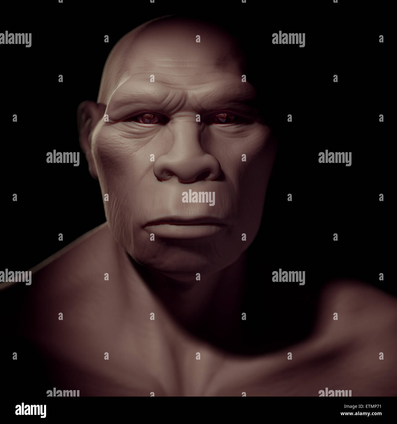 Darstellung eines Homo erectus, eine ausgestorbene Gattung der Hominiden und Vorfahren zu Homo Sapiens. Stockfoto