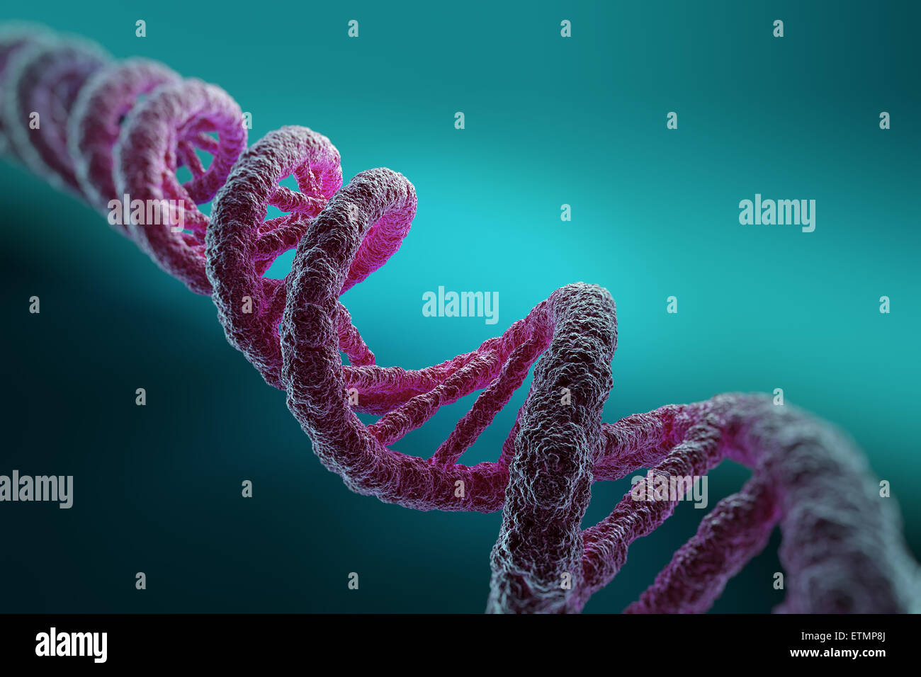 Stilisierte Darstellung der Stränge der menschlichen DNS, Desoxyribonukleinsäure. Stockfoto