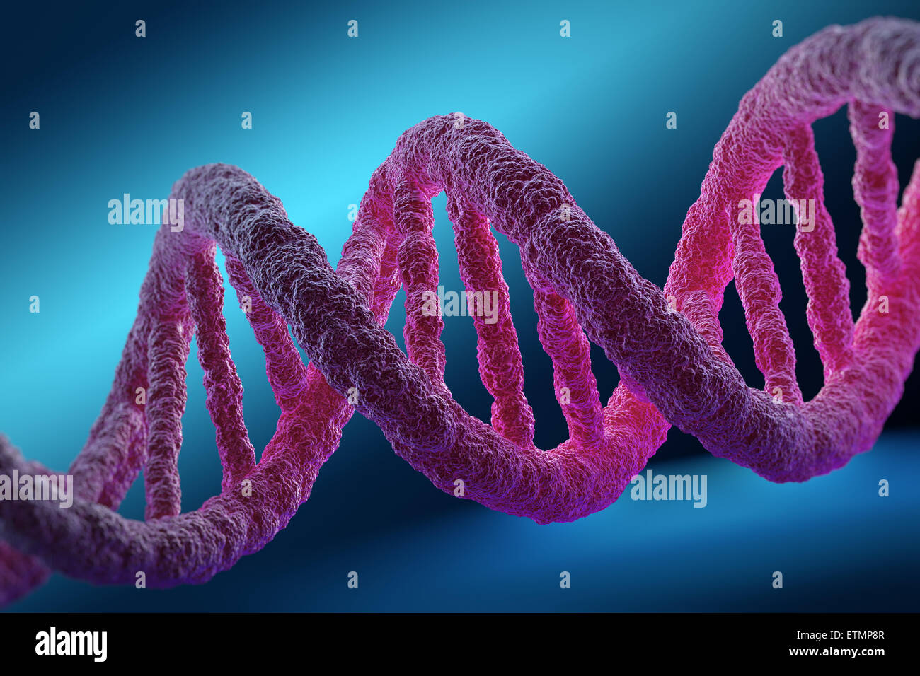 Stilisierte Darstellung der Stränge der menschlichen DNS, Desoxyribonukleinsäure. Stockfoto