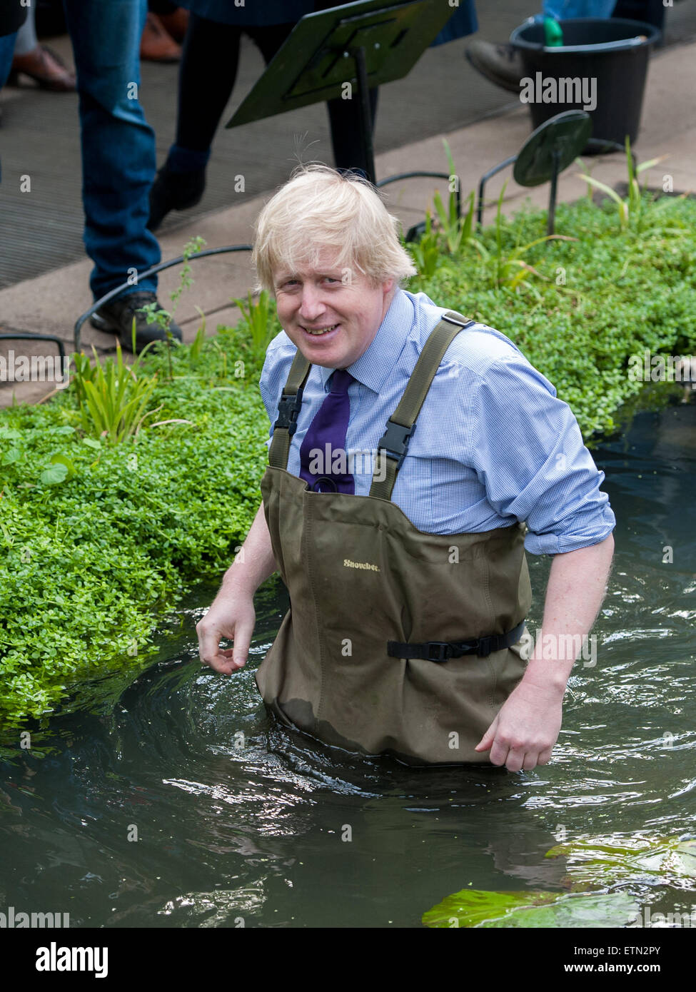 Boris Johnson, Bürgermeister von London trägt Watvögel am Prince Of Wales  Conservatory in Londons Royal Botanical Gardens, Kew Victoria Amazonica  Seerosen, Hybrid Seerosen und Lotus Pflanzen Pflanzen. Der Bürgermeister  wurde von renommierten