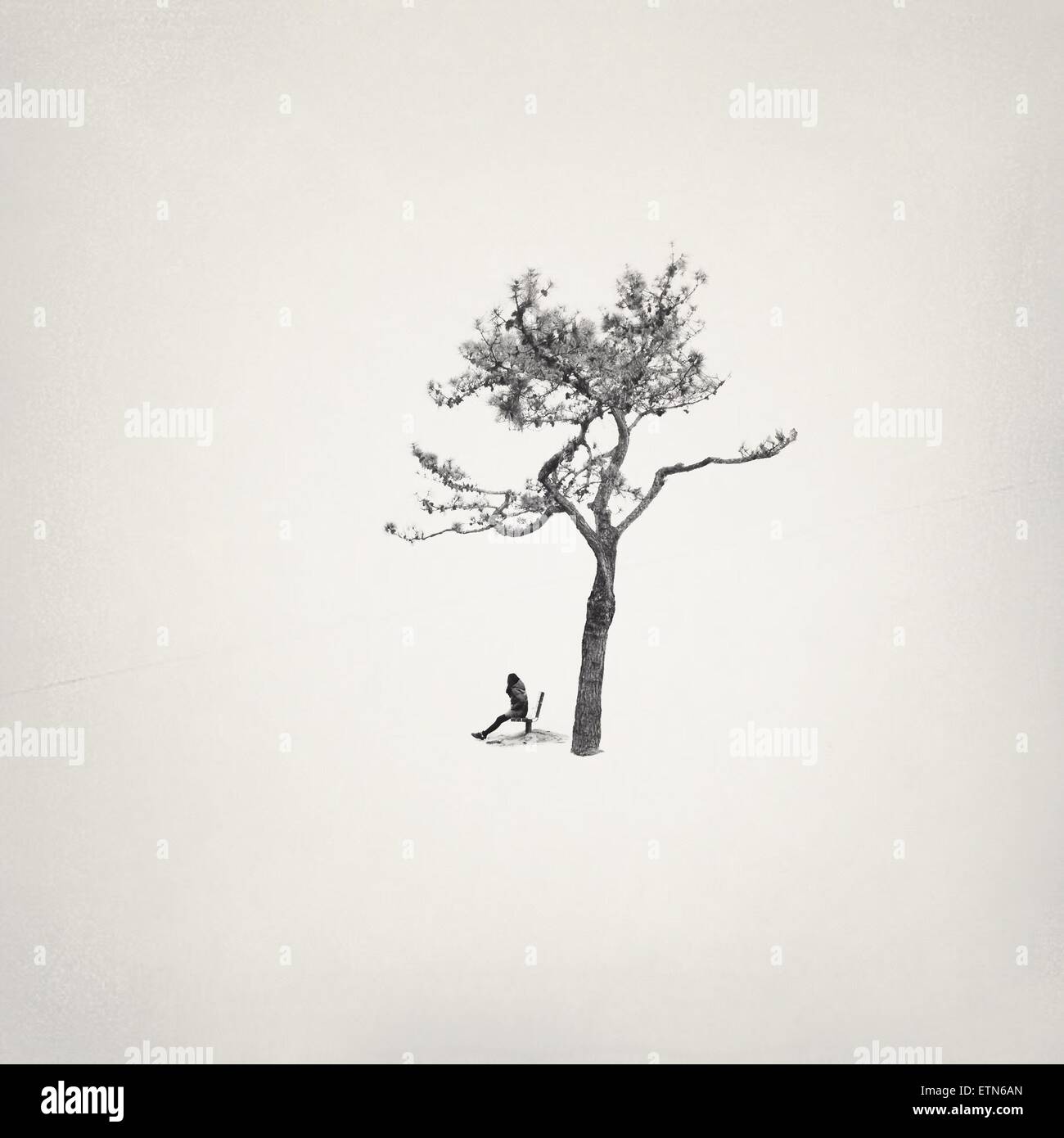 Mädchen auf einer Bank an einem Baum, Südkorea Stockfoto