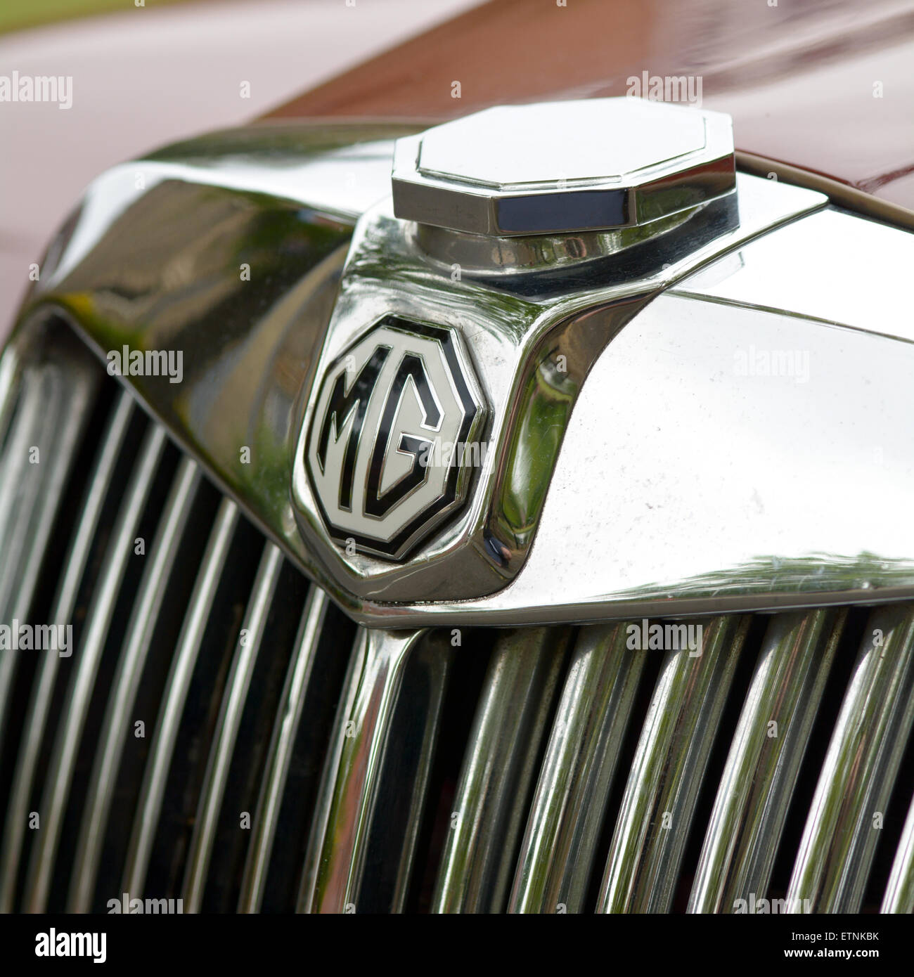 MG Autokühler Chrom grill Stockfoto