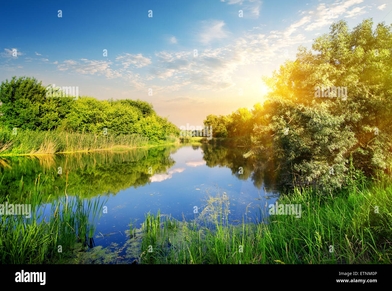 Gelbe Sonnenuntergang über dem Fluss im Frühling Stockfoto