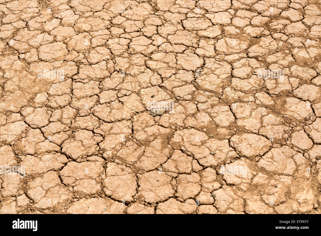 trockenen Wüstenboden geknackt. Wadi Rum Jordan Stockfoto