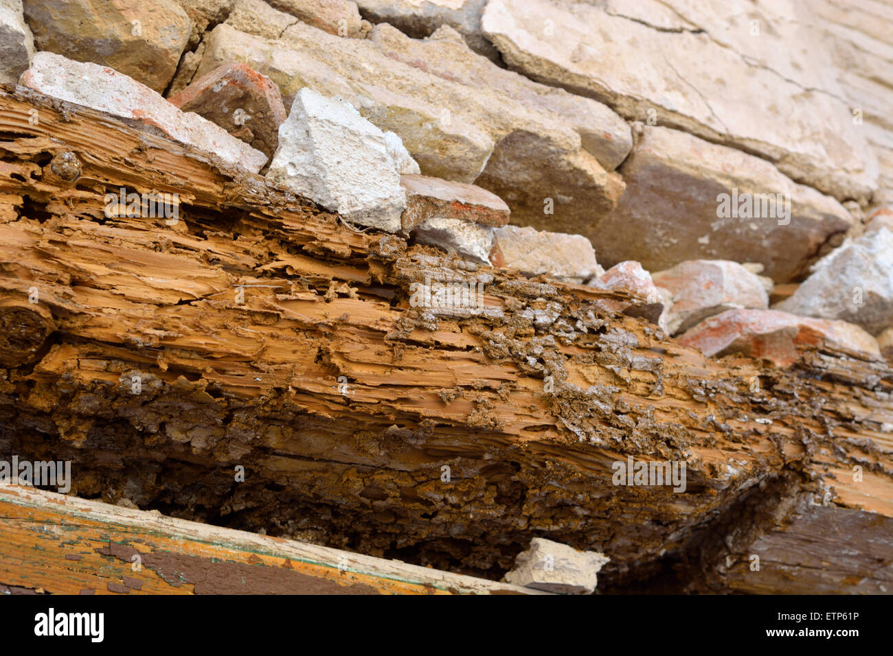 Faulen Holz Sturz über eine Tür mit der Wand über Rissbildung Stockfoto