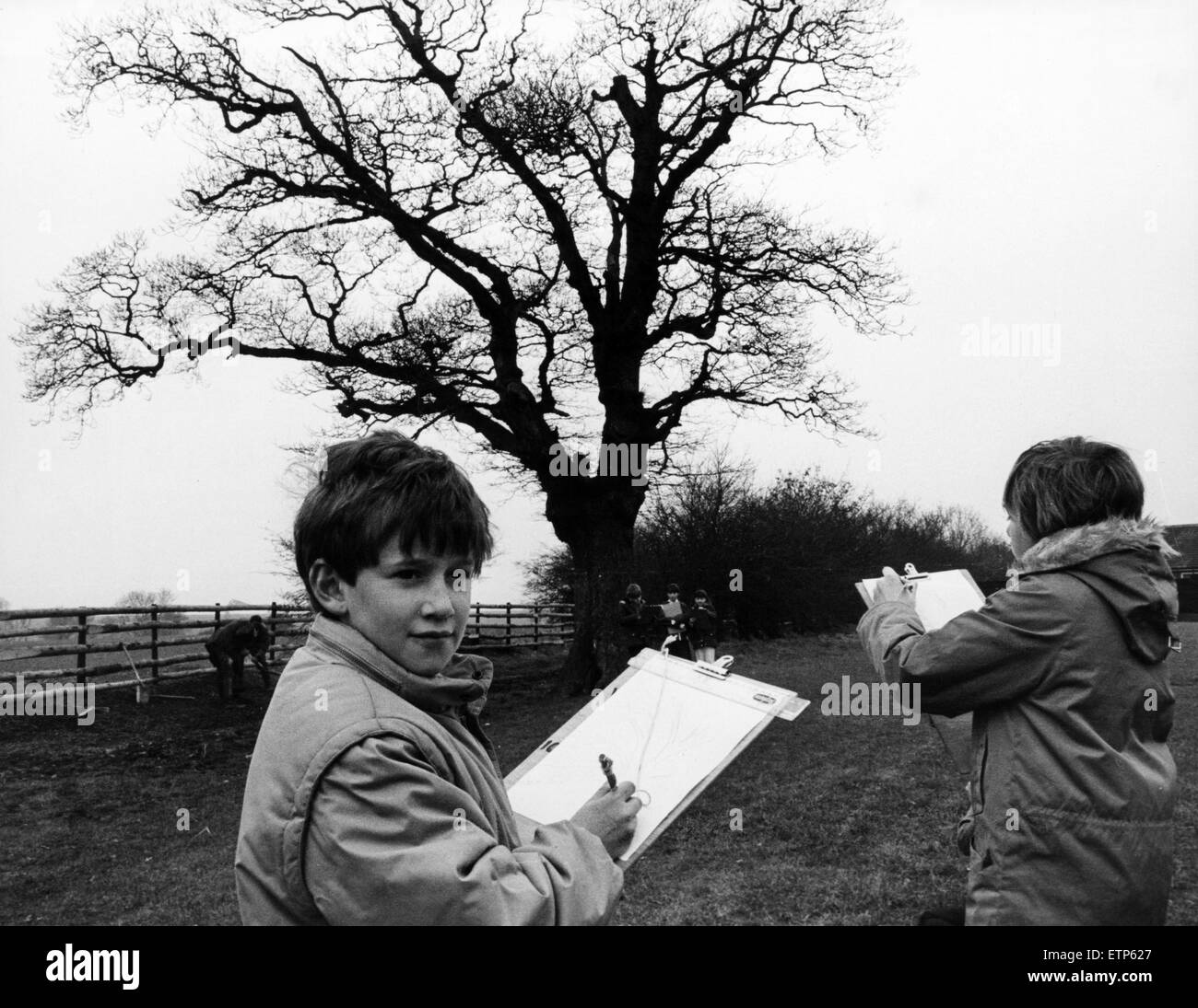 Kinder von Westlands Spezialschule, Thornaby, Durchführung einer sechsmonatigen Studie einer 200 Jahre alten Eiche im Rahmen des Wettbewerbs große britische Eiche, Thornaby, 15. März 1986. Stockfoto