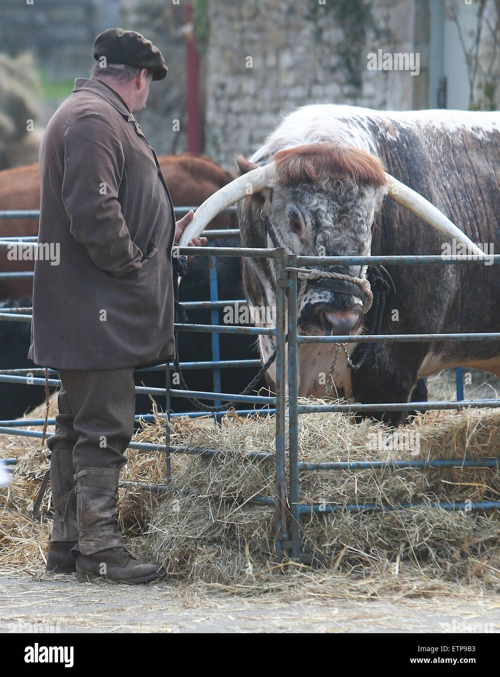 Shooting-Szenen für die neue Serie von "Downton Abbey" Wiltshire mit Cast: Atmosphäre wo: Wiltshire, Vereinigtes Königreich bei: 20. März 2015 Credit: WENN.com Stockfoto