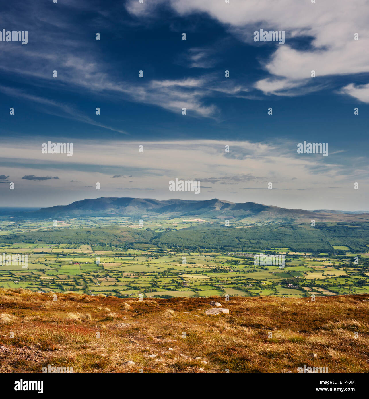 Blick auf die Golden Vale von Tipperary in Richtung Comeragh Mountains, von Slievenamon Stockfoto